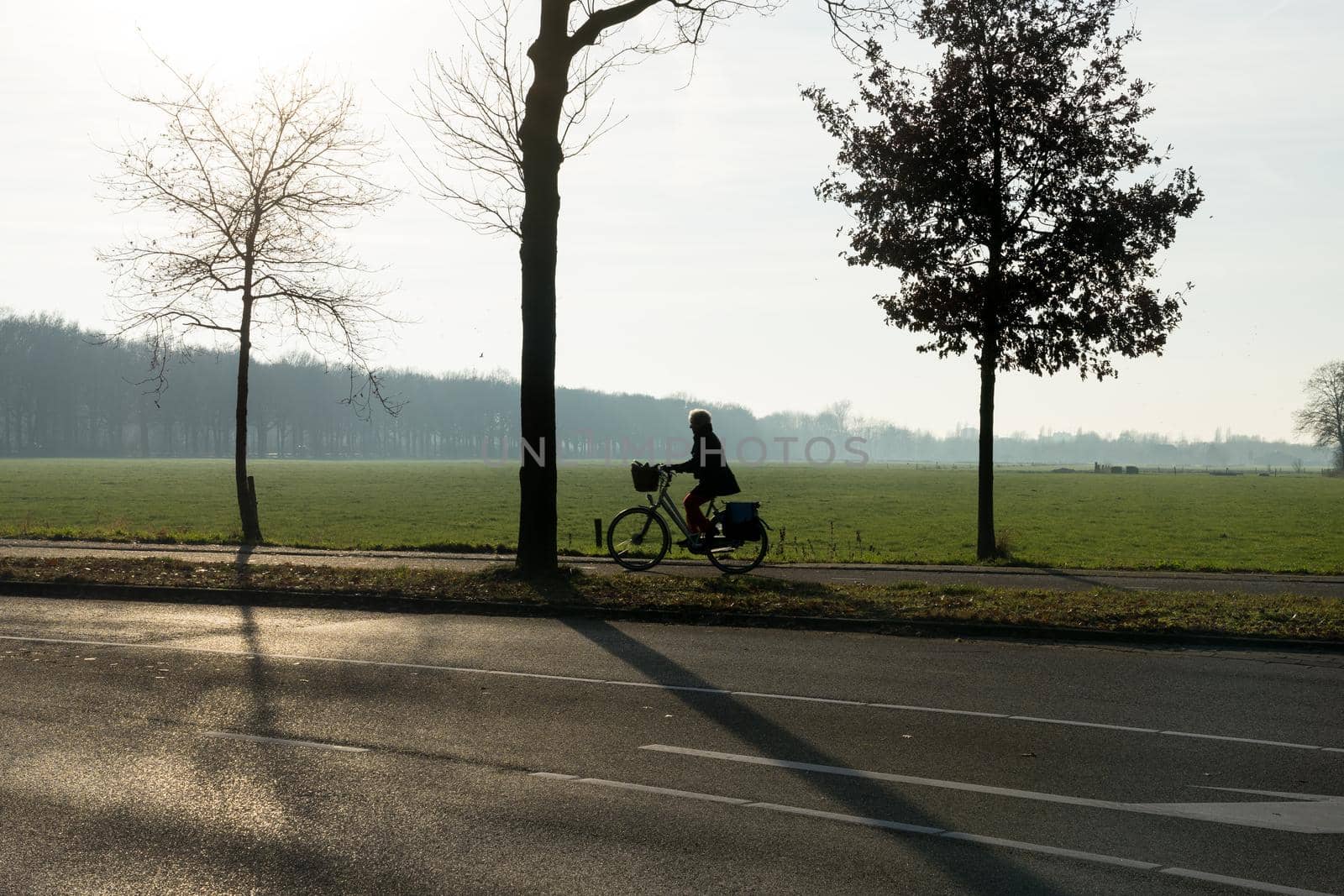 A silhouette of a cyclist with trees in the morning sun with mist and grassland by LeoniekvanderVliet