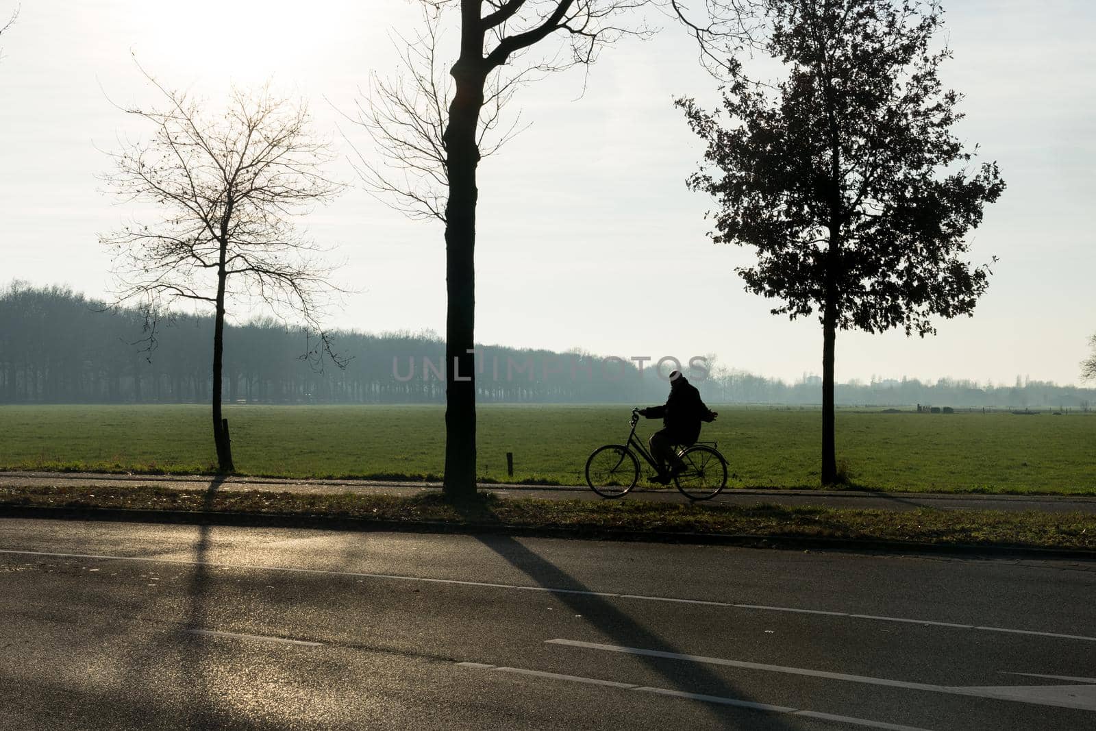 A silhouette of a cyclist with trees in the morning sun with mist and grassland by LeoniekvanderVliet