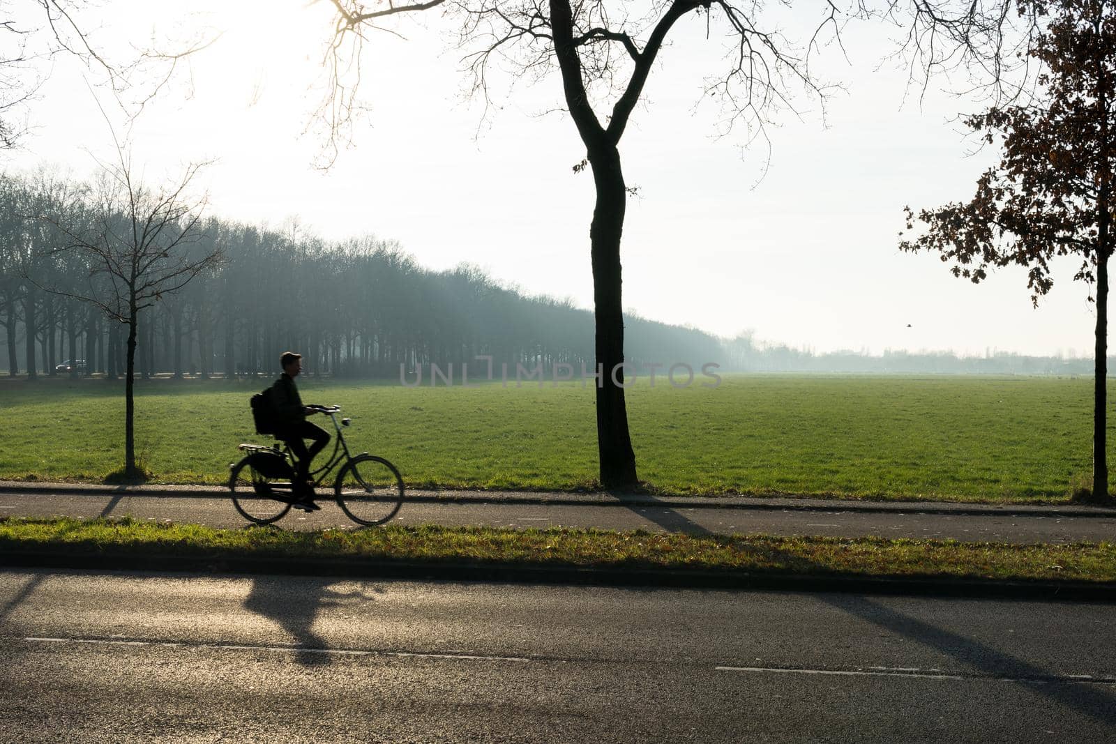 A silhouette of a cyclist with trees in the morning sun with mist and grassland by LeoniekvanderVliet