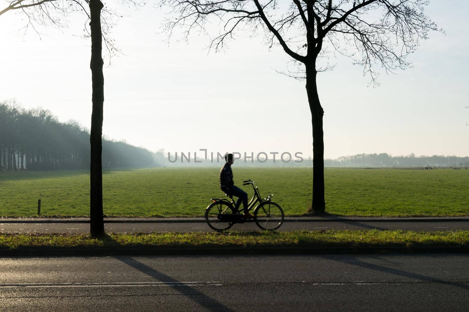 A silhouette of a cyclist looking on his phone with trees in the morning sun with mist and grassland by LeoniekvanderVliet