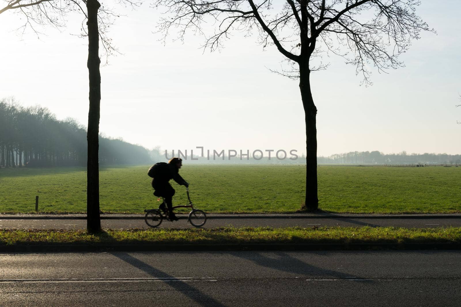 A silhouette of a cyclist with trees in the morning sun with mist and a wide view over a grassland