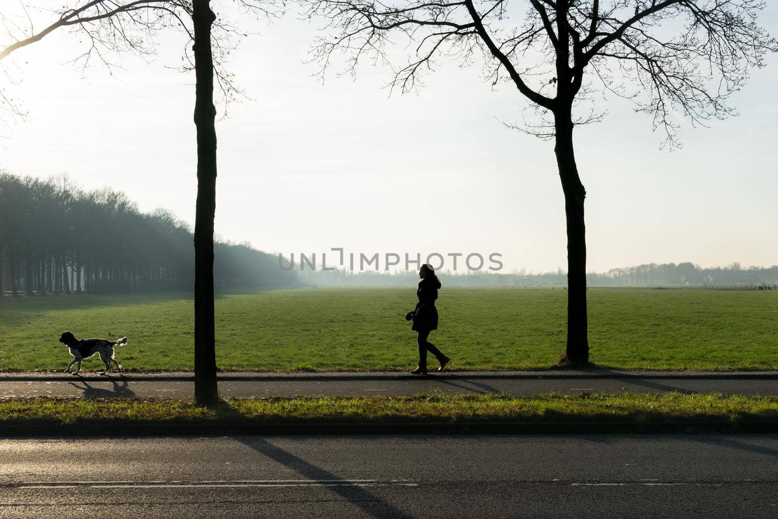 A silhouette of a woman and a dog with trees in the morning sun with mist and a wide view over a grassland