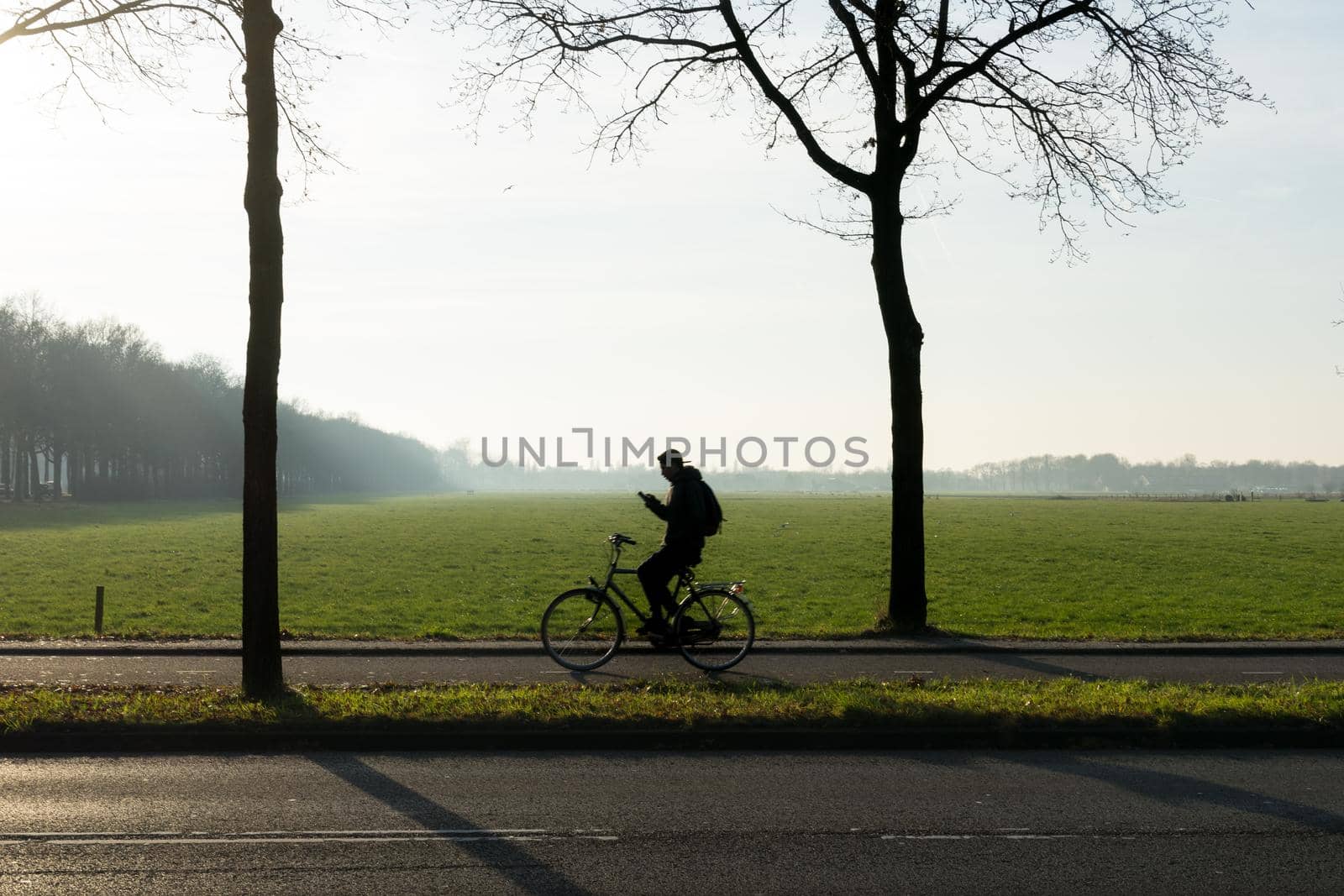 A silhouette of a cyclist looking on his phone with trees in the morning sun with mist and grassland by LeoniekvanderVliet