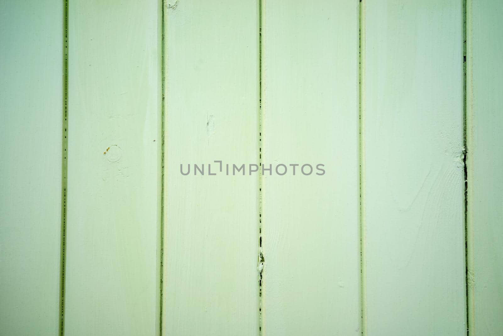 Bright light green color wood plank texture. Vintage beach wooden background. by LeoniekvanderVliet