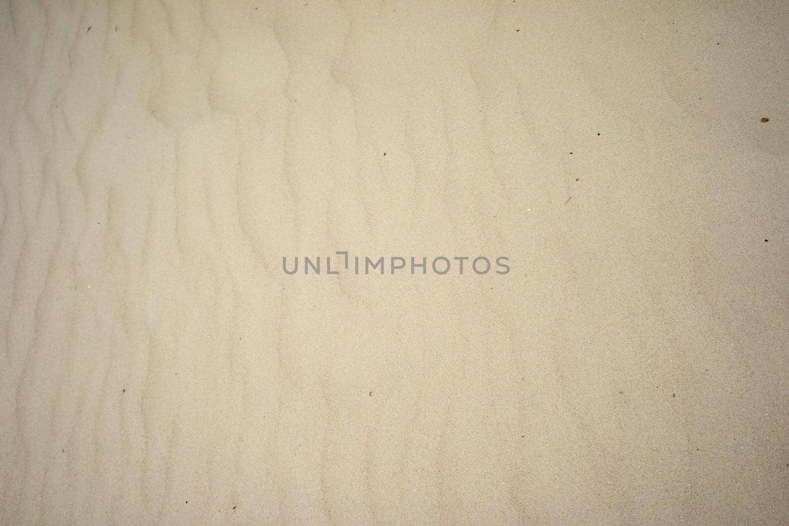 Close up of a sandy beach with waves and structures seen from above background and full frame with copy space by LeoniekvanderVliet