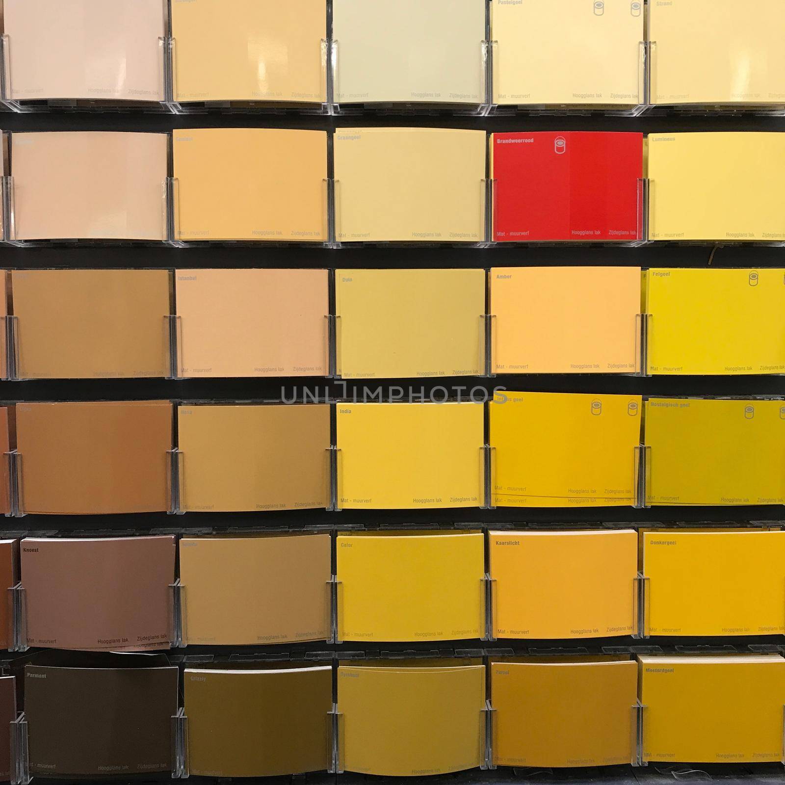 a Mosaic of color cards in yellow, brown anc creme, in DIY shop with a odd one out, red