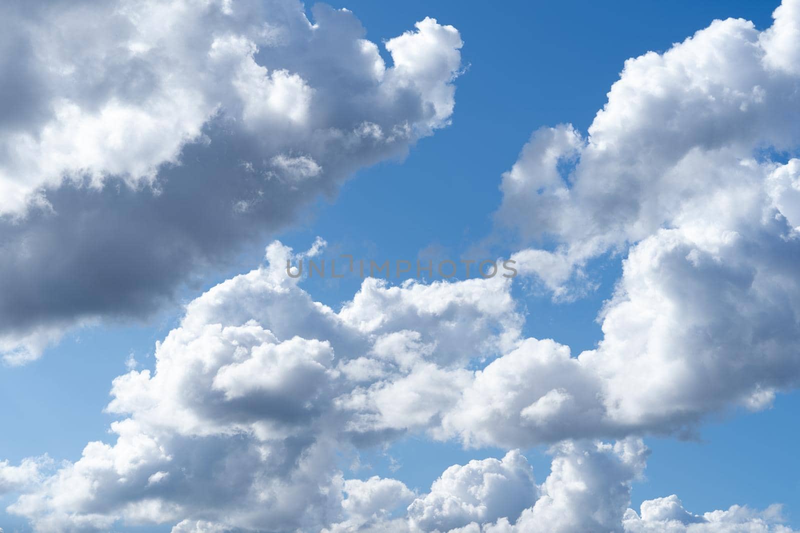 A skyscape with cumulus clouds in white and grey and a clear deep blue sky in the summer by LeoniekvanderVliet