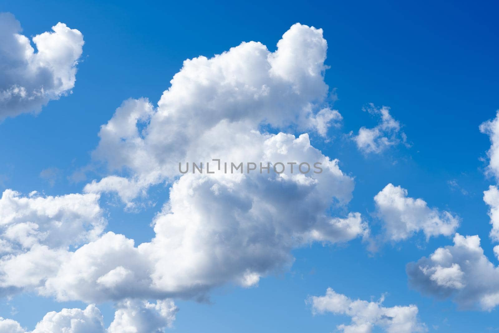 A skyscape with cumulus clouds in white and grey and a clear deep blue sky in the summer by LeoniekvanderVliet