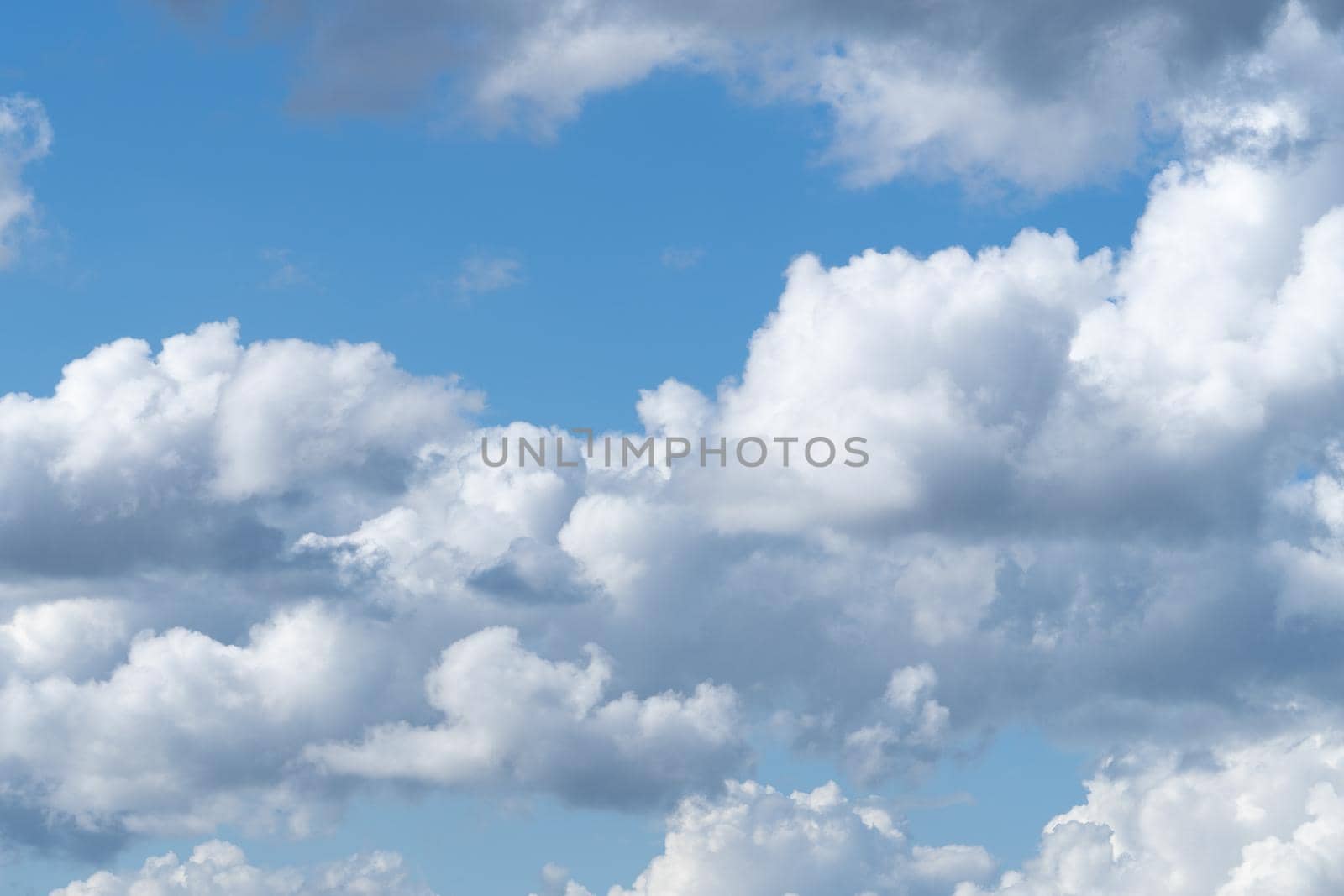 A skyscape with cumulus clouds in white and grey and a clear deep blue sky in the summer by LeoniekvanderVliet