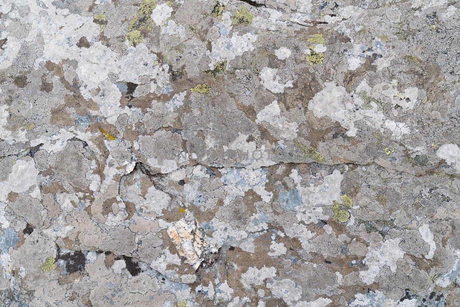 stone background with textured surface and Lichen Moss. Pattern mineral with rough structure and lichen. mountain backdrop. Natural stone surface.  by LeoniekvanderVliet