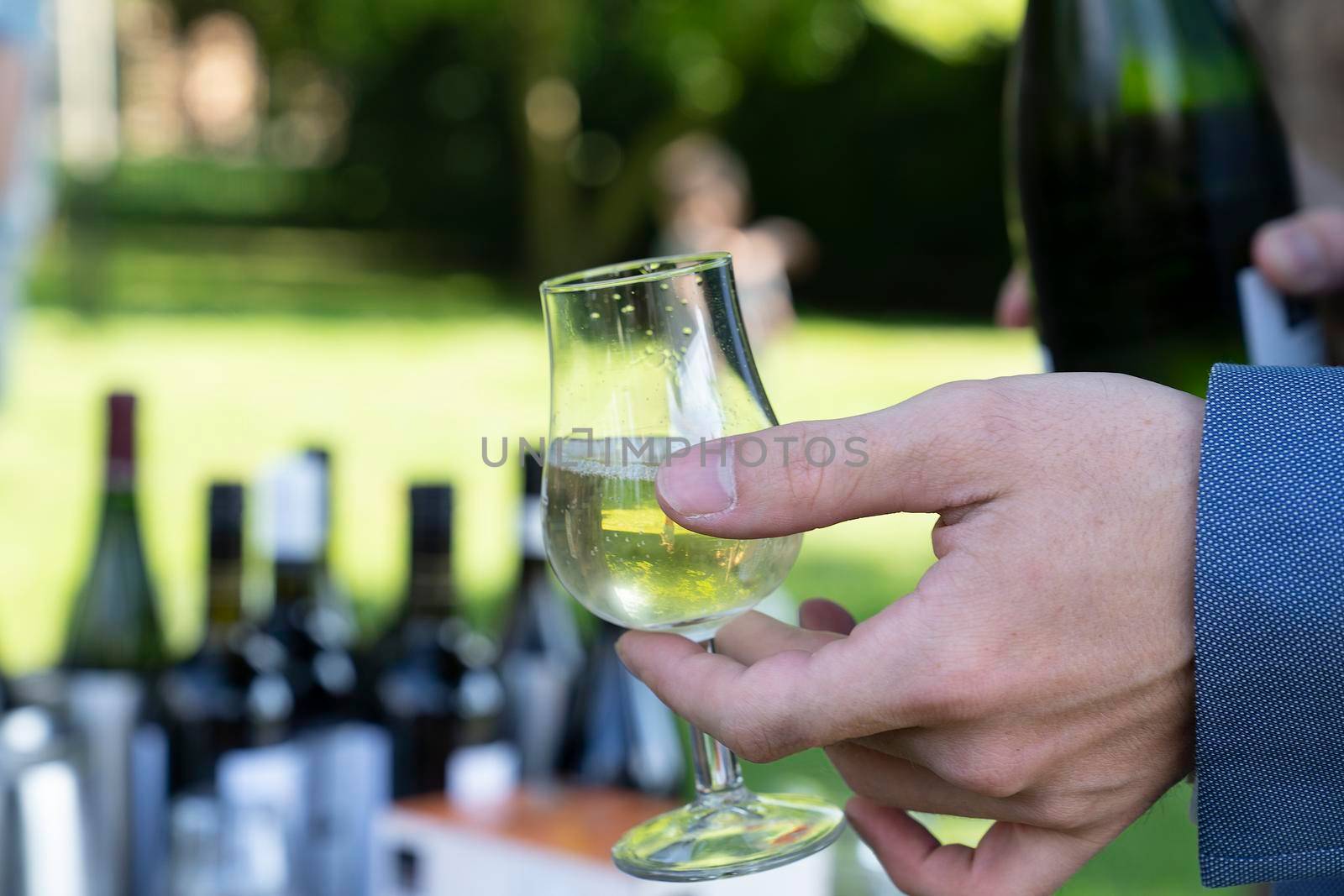 Male hands holding a glass of white wine at an outdoor wine tasting by LeoniekvanderVliet