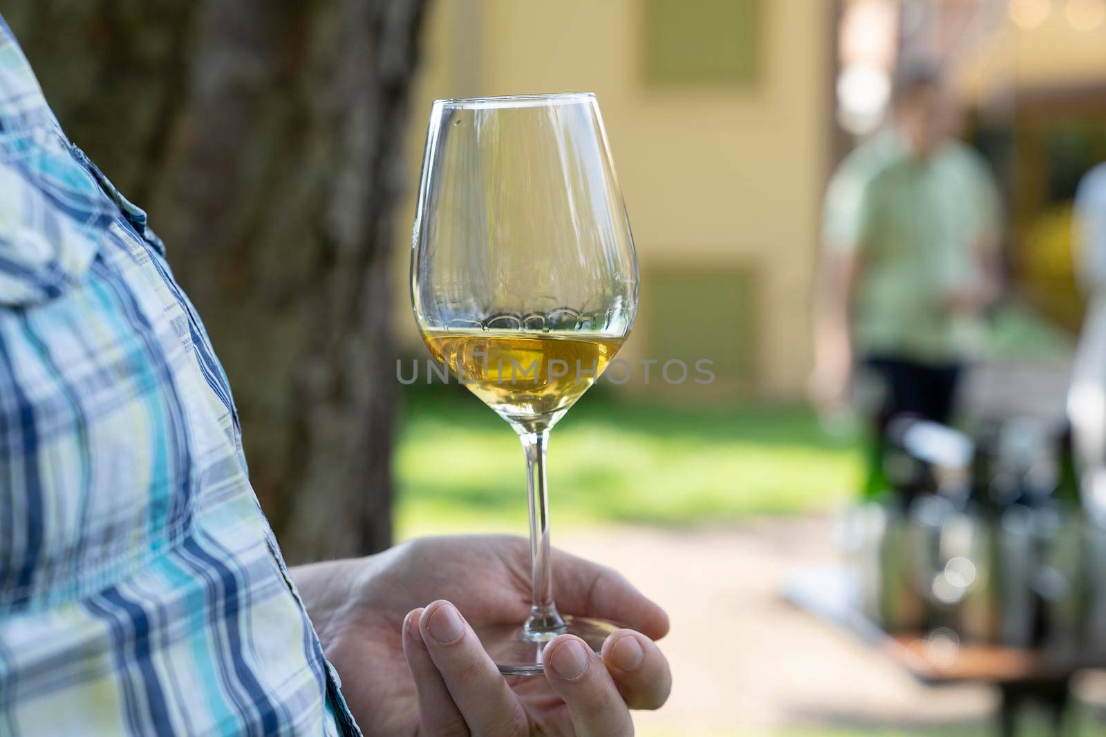 Male hands holding a glass of white wine at an outdoor wine tasting by LeoniekvanderVliet