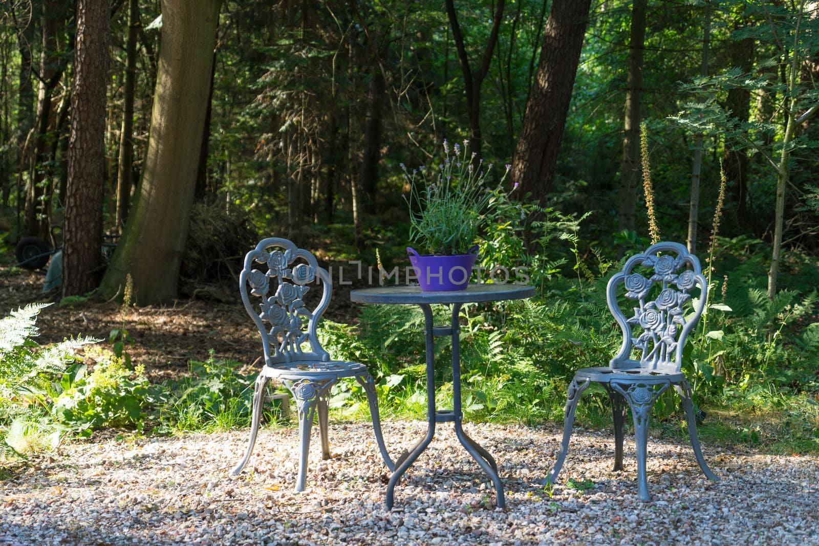 Overview of  beautiful, vintage style wrought iron garden seats and table surrounded by summer flowers plants and trees in hazy sunshine by LeoniekvanderVliet