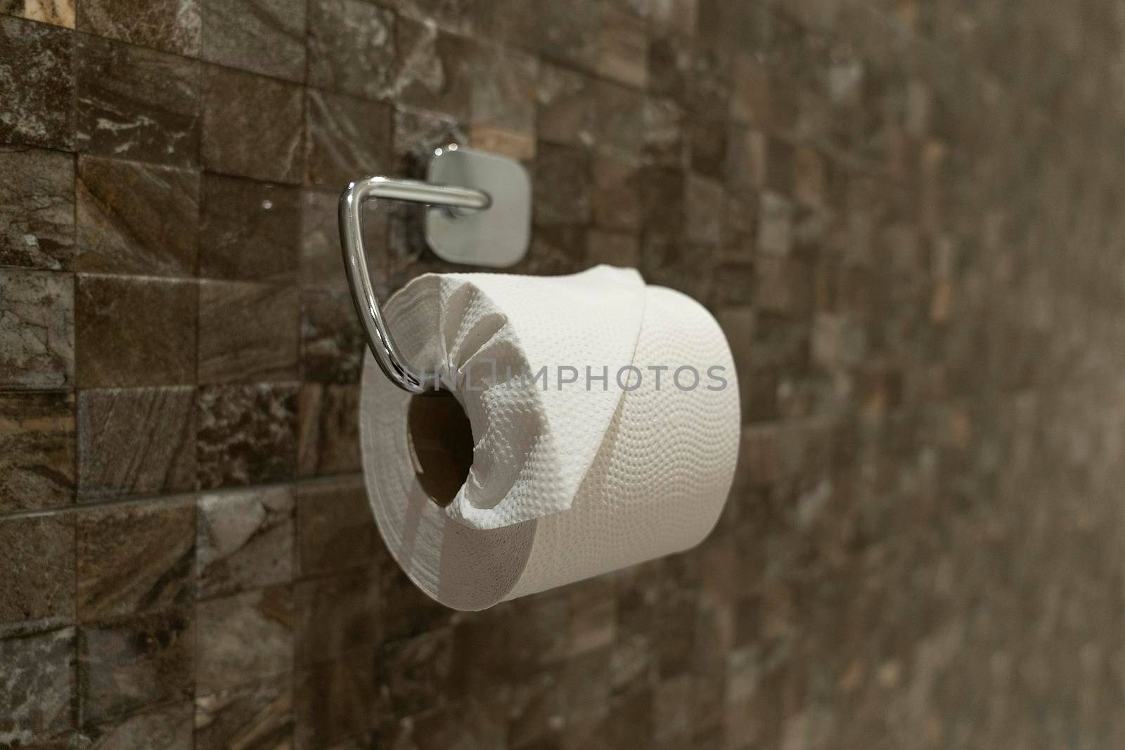 A fresh roll of toilet paper with a folded end hanging on a toilet roll holder against a brown tiled wall by LeoniekvanderVliet