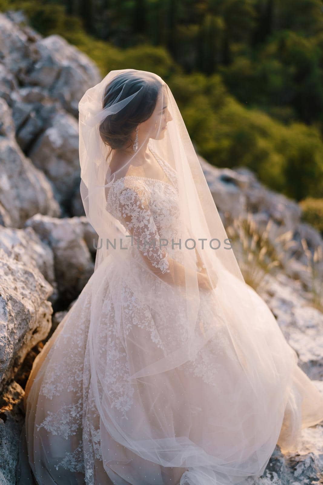 A large portrait of the bride covered with a veil.