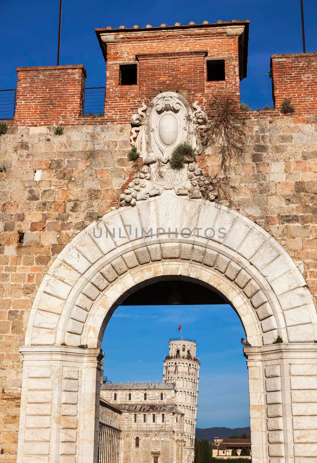 Leaning Tower in Pisa by benkrut