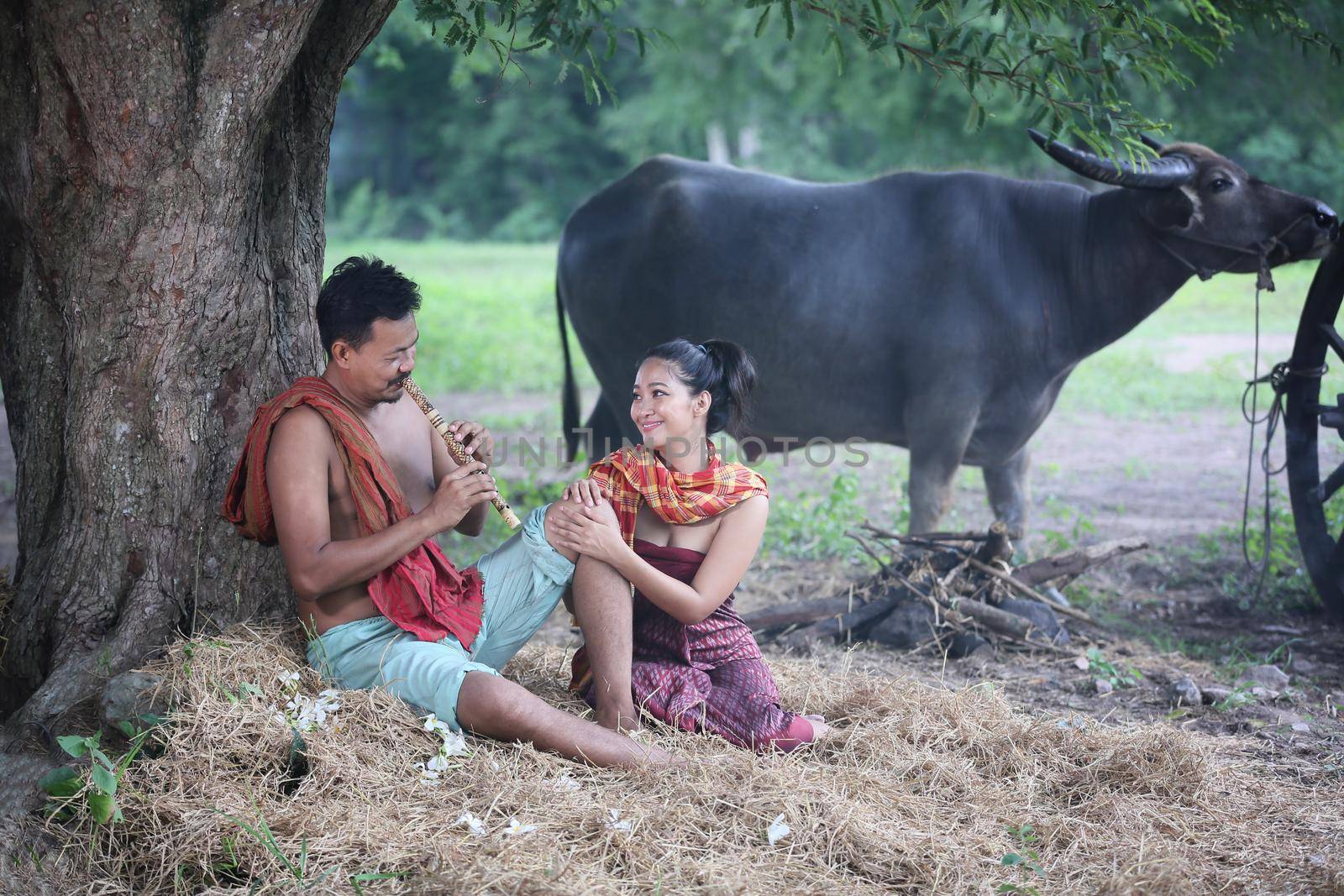Couple love of Asian Young man and women sitting under tree against buffalo and natural background, rural way of life in the Northeast of Thailand. A young man was blowing a bamboo mouth organ to his lover.