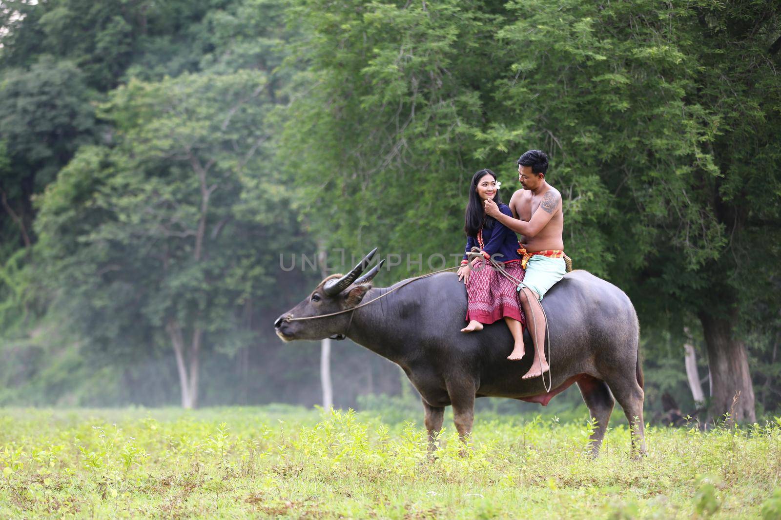 Couple Thai farmers family happiness time riding on buffalo on the field, Thailand by chuanchai