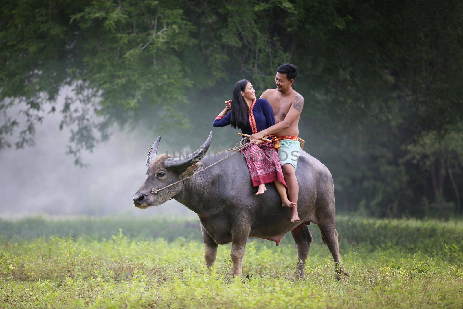 Couple Thai farmers family happiness time riding on buffalo on the field, Thailand by chuanchai