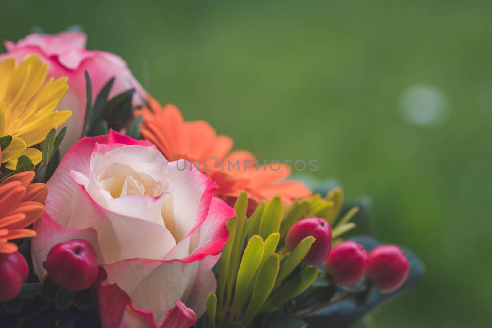 Close up of tender pink rose in a floral bouquet