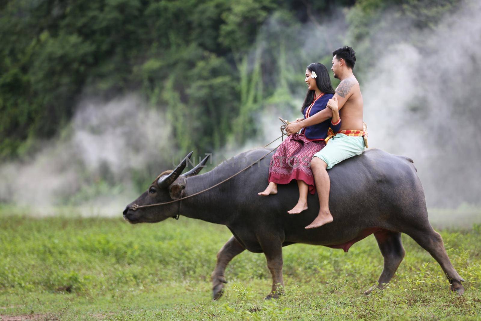 Couple Thai farmers family happiness time riding on buffalo on the field, Thailand