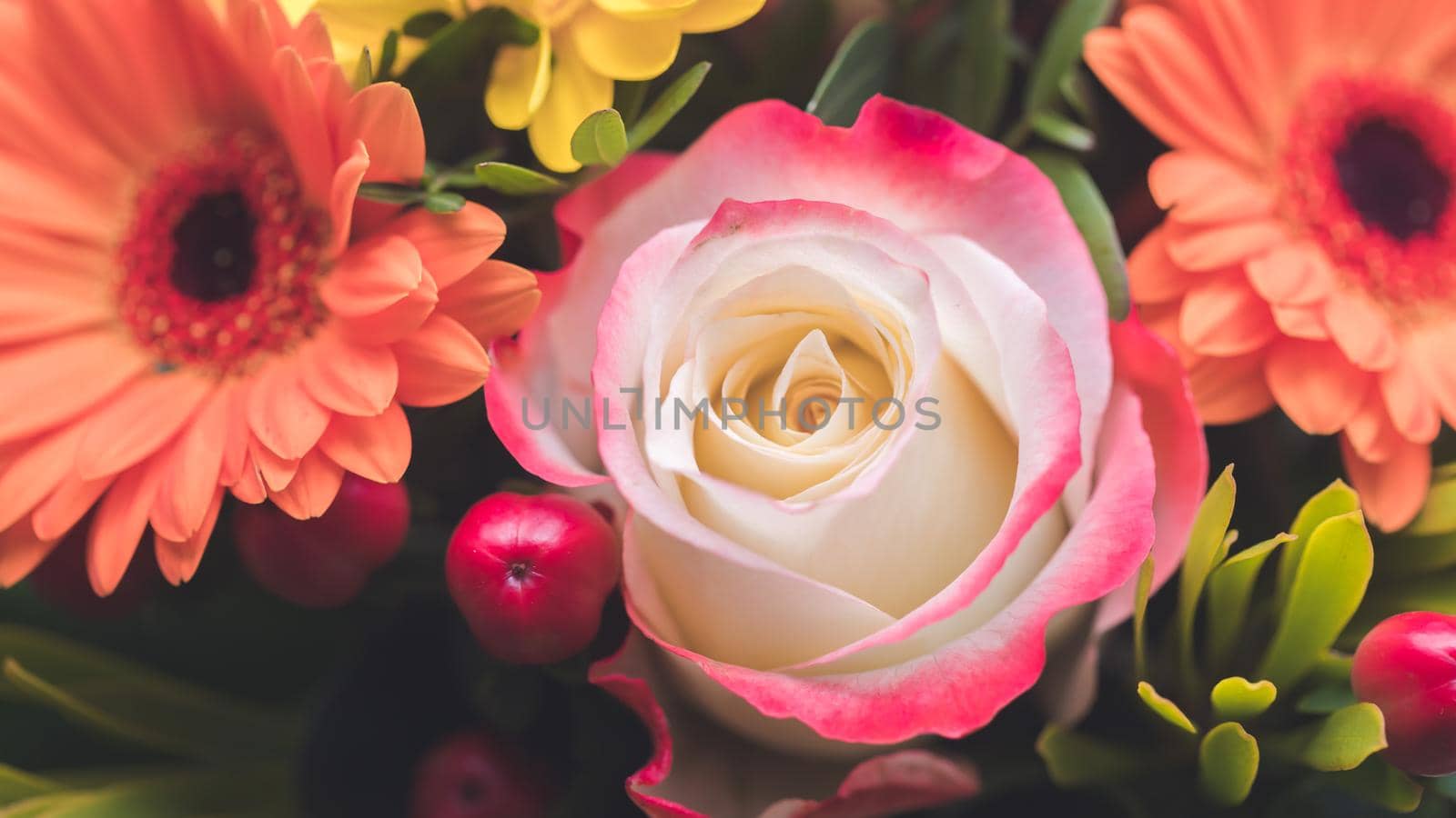 Close up of tender pink rose in a floral bouquet