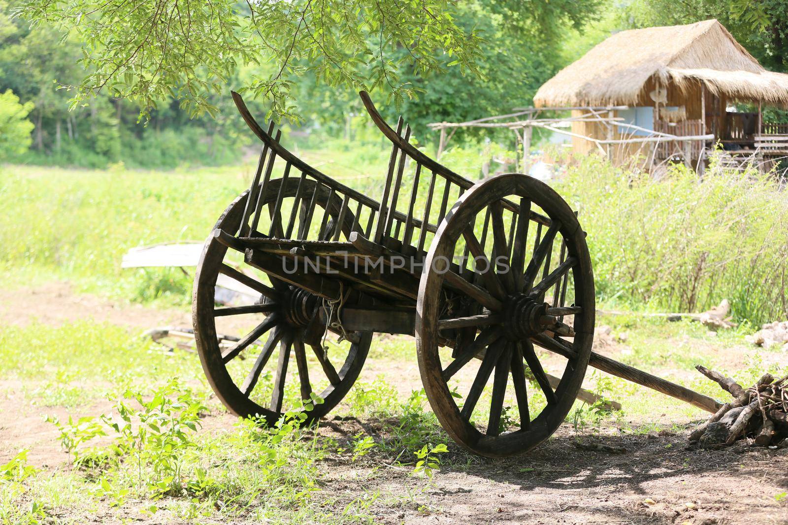 Old wooden wagon at rural field. by chuanchai