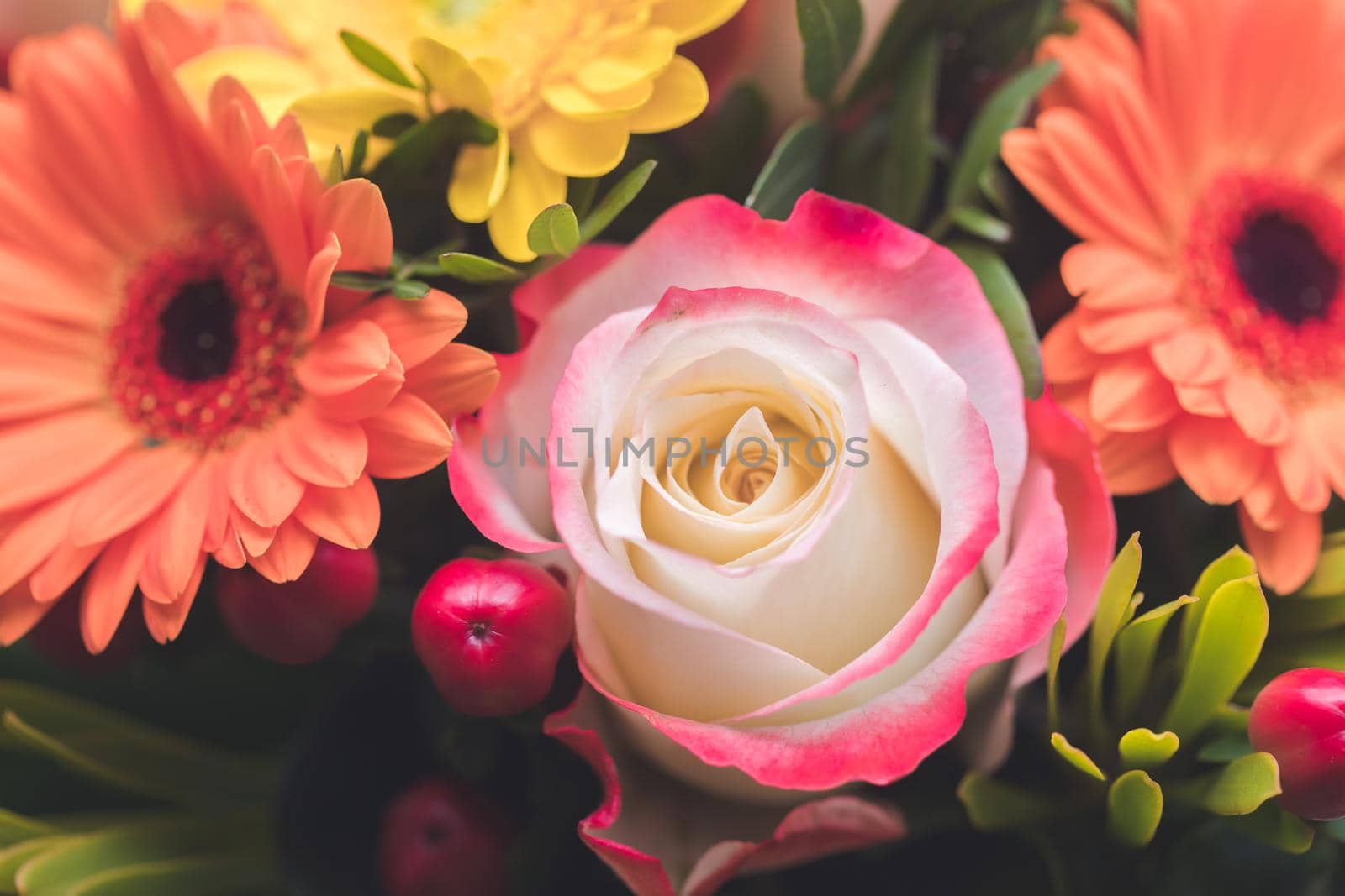 Valentine or Mother’s Day concept: Close up of pink rose flower in bouquet by Daxenbichler