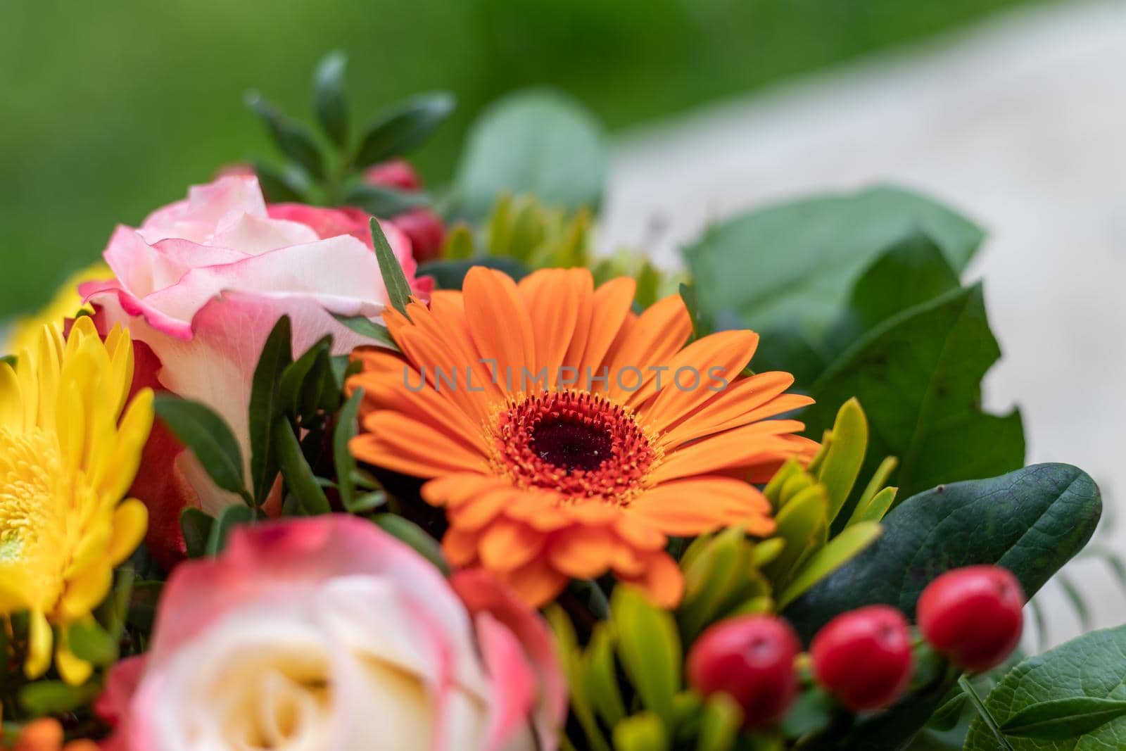 Close up of tender orange gerbera in a floral bouquet