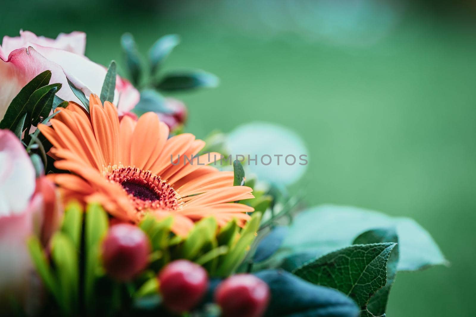 Valentine or Mother’s Day concept: Close up of orange gerbera flower in bouquet by Daxenbichler