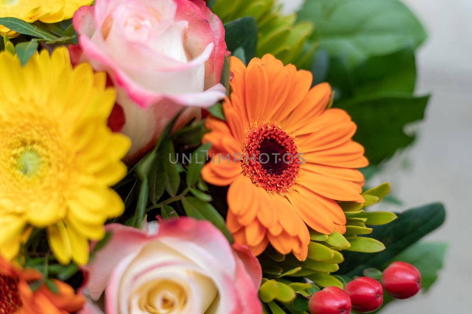 Greetings, anniversary or Mother’s Day concept: Close up of colorful fresh spring flower bouquet with gerbera and pink roses by Daxenbichler
