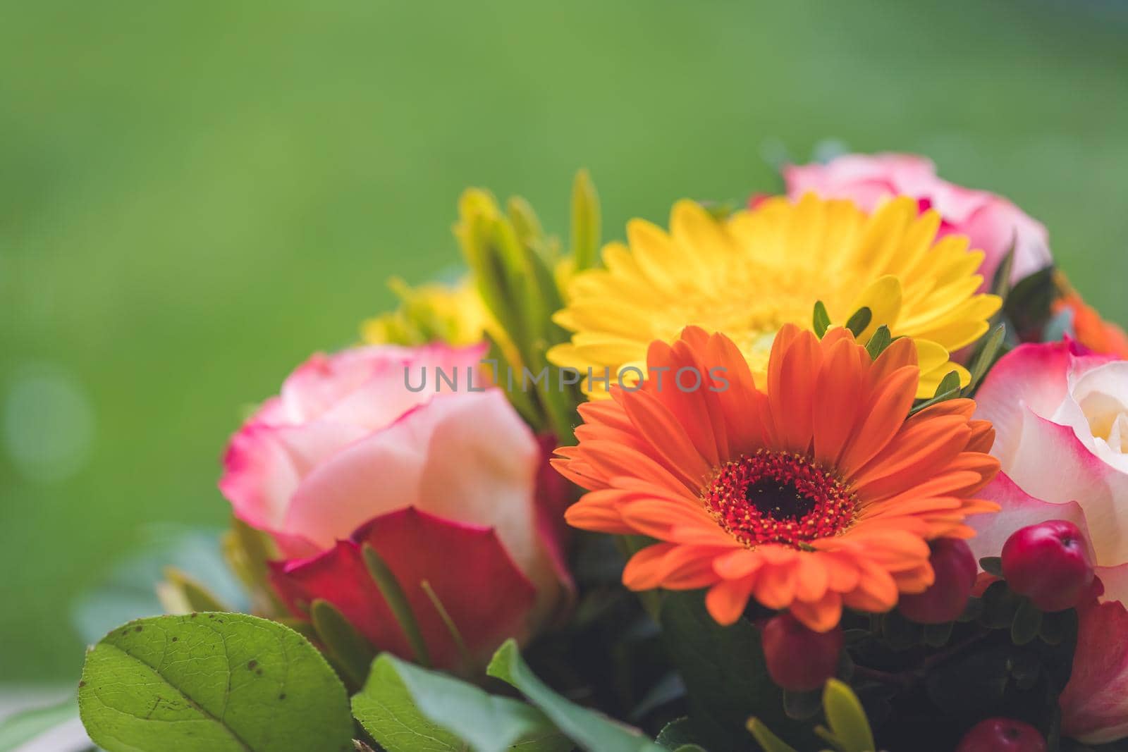 Greetings, anniversary or Mother’s Day concept: Close up of colorful fresh spring flower bouquet with gerbera and pink roses by Daxenbichler