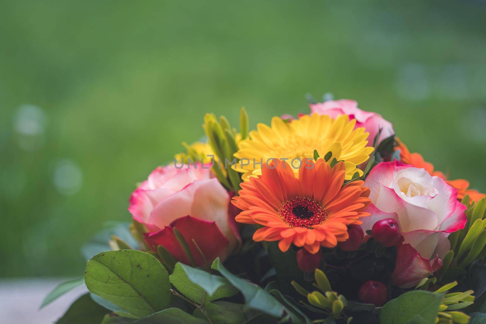 Greetings, anniversary or Mother’s Day concept: Close up of colorful fresh spring flower bouquet with gerbera and pink roses by Daxenbichler