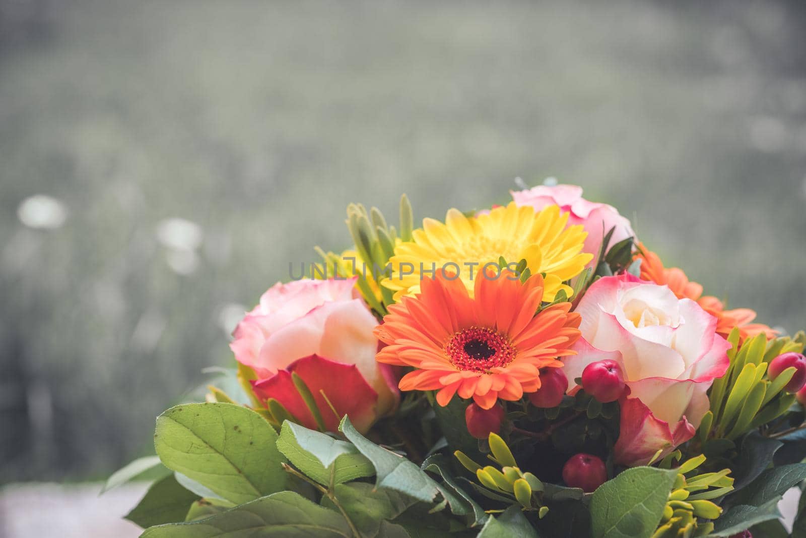 Greetings, anniversary or Mother’s Day concept: Close up of colorful fresh spring flower bouquet with gerbera and pink roses by Daxenbichler
