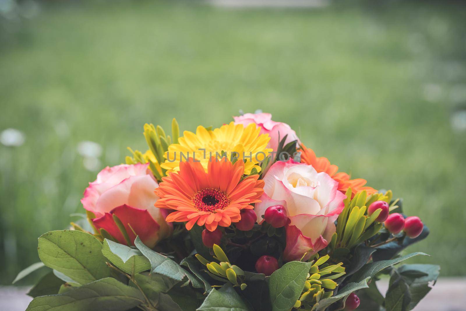 Greetings, anniversary or Mother’s Day concept: Close up of colorful fresh spring flower bouquet with gerbera and pink roses by Daxenbichler