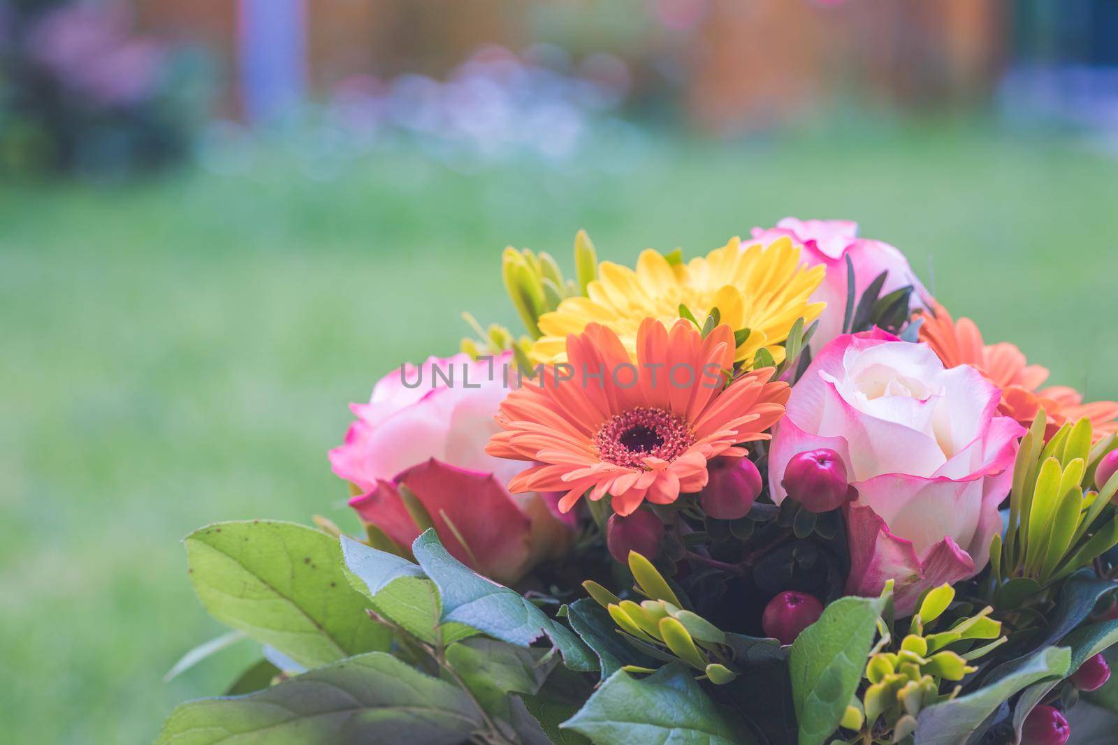 Greetings, anniversary or Mother’s Day concept: Close up of colorful fresh spring flower bouquet with gerbera and pink roses by Daxenbichler