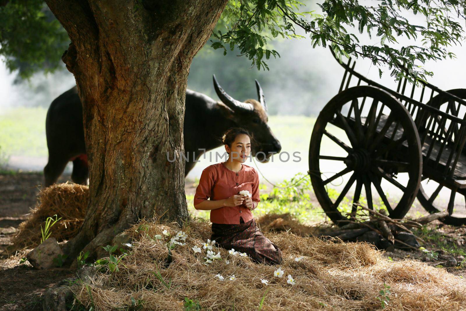 Thai woman farmer listening radio on her farm background, countryside Thailand by chuanchai