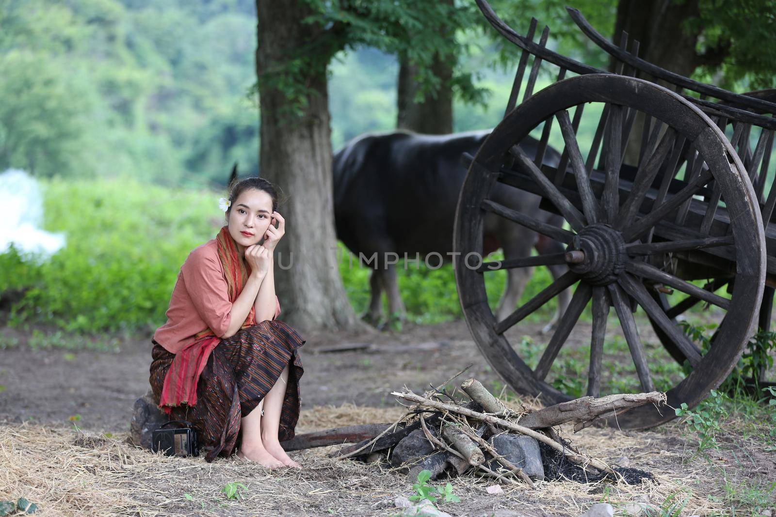 Thai woman farmer wearing local thai tradition sitting on her farm and buffalo  background,countryside Thailand