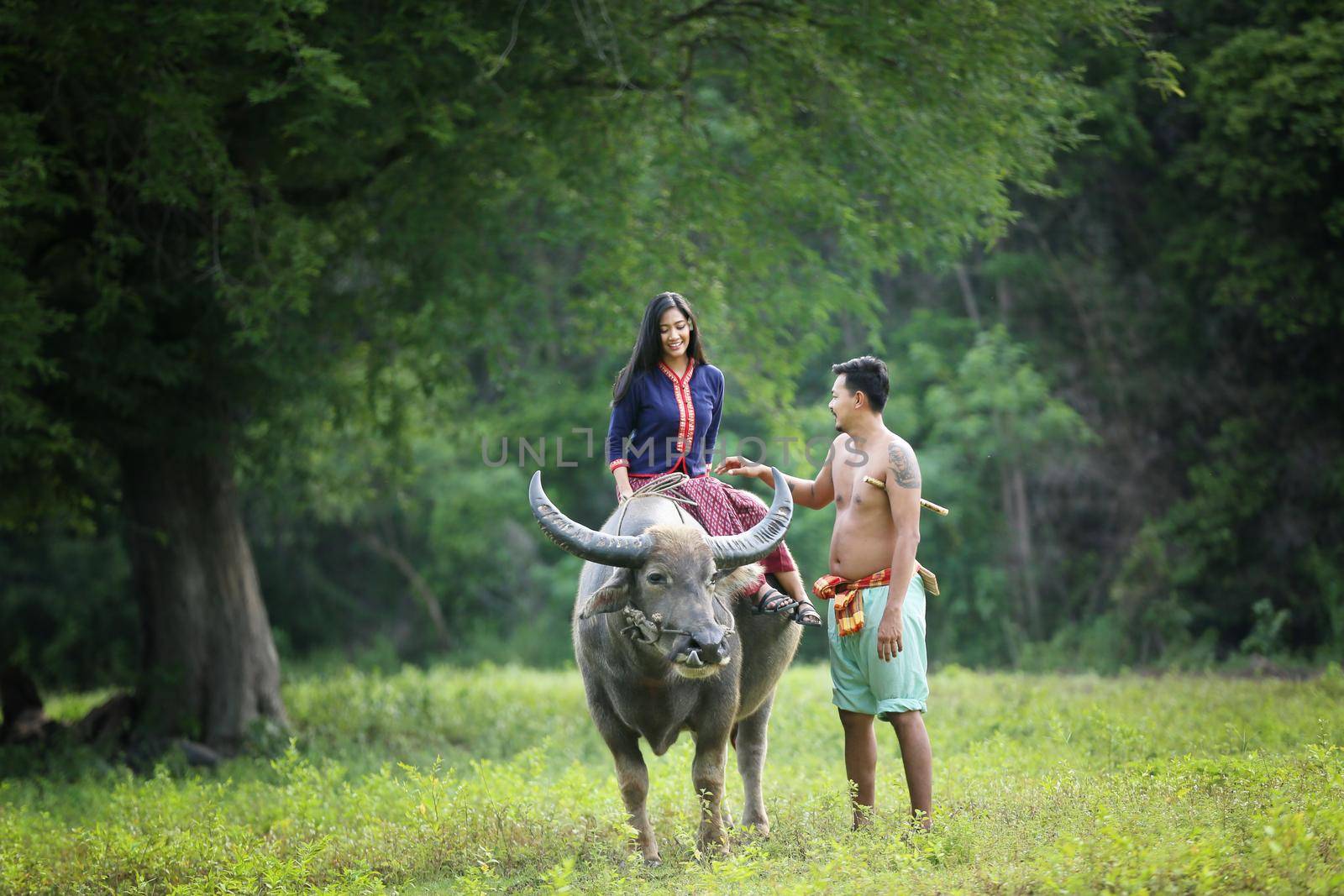 Asian woman Thai farmer sitting on a buffalo in the field
