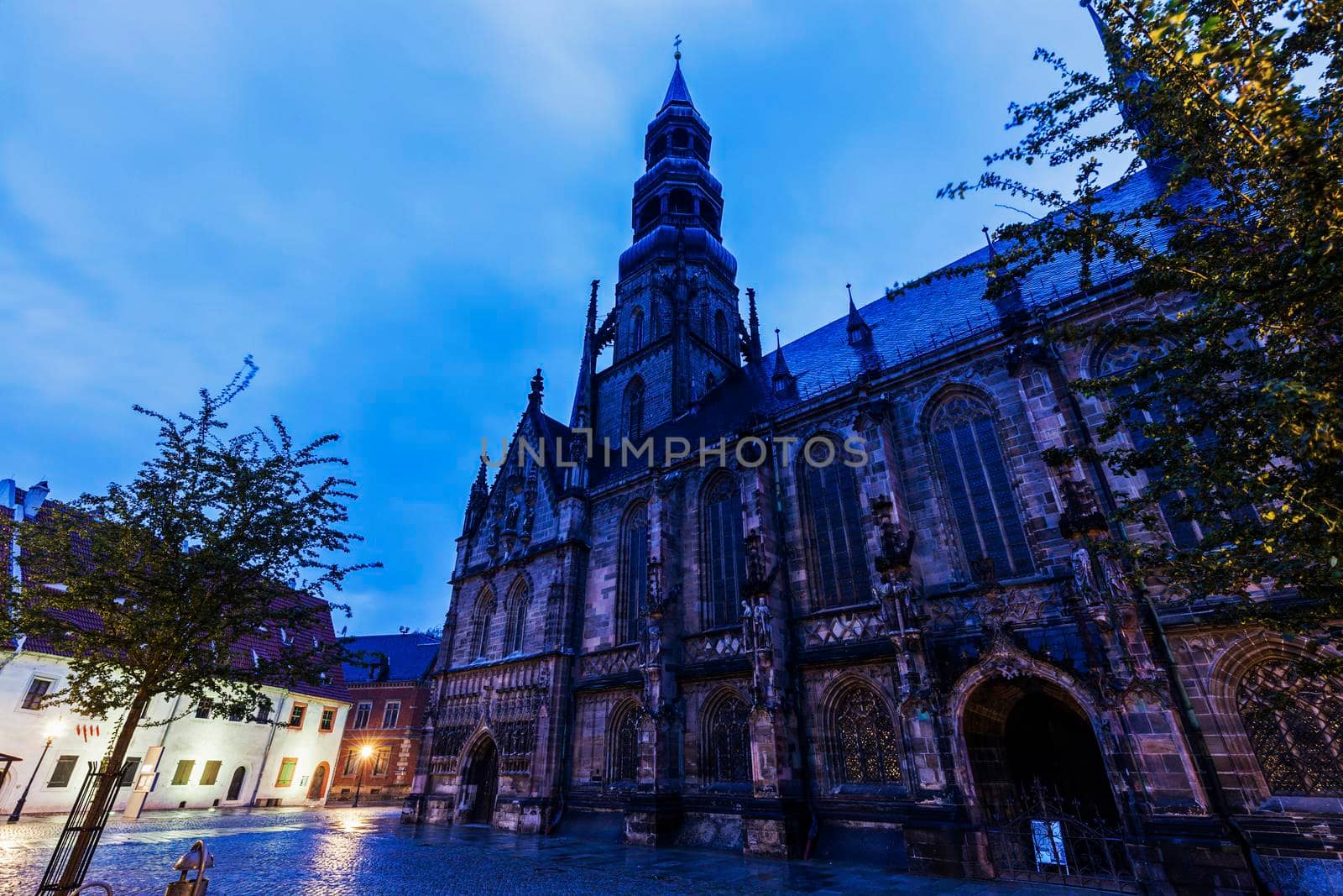 Dom St. Marien in Zwickau Zwickau, Saxony, Germany.