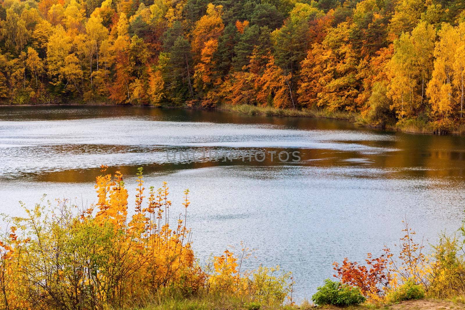 Turquoise Lake in Wolin National Park. West Pomerania, Poland.