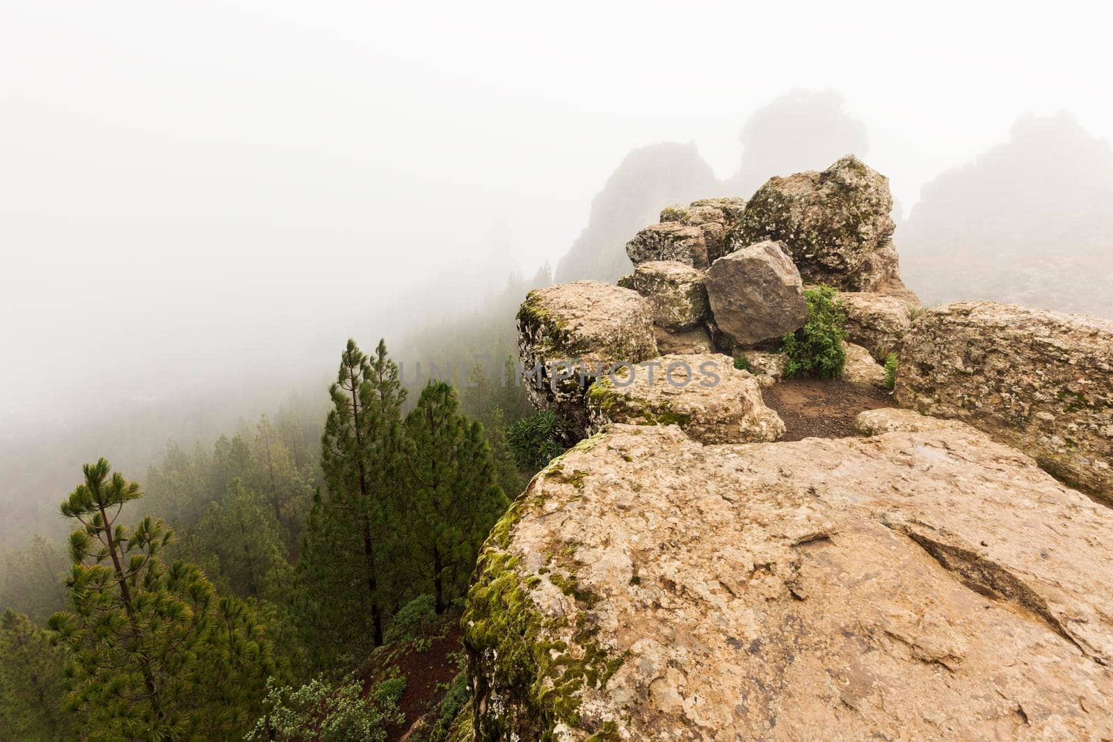 Trail to Roque Nublo by benkrut