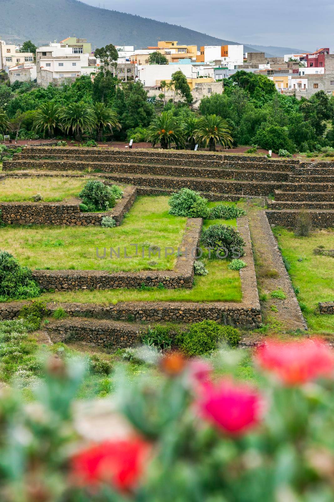 Pyramids of Guimar by benkrut