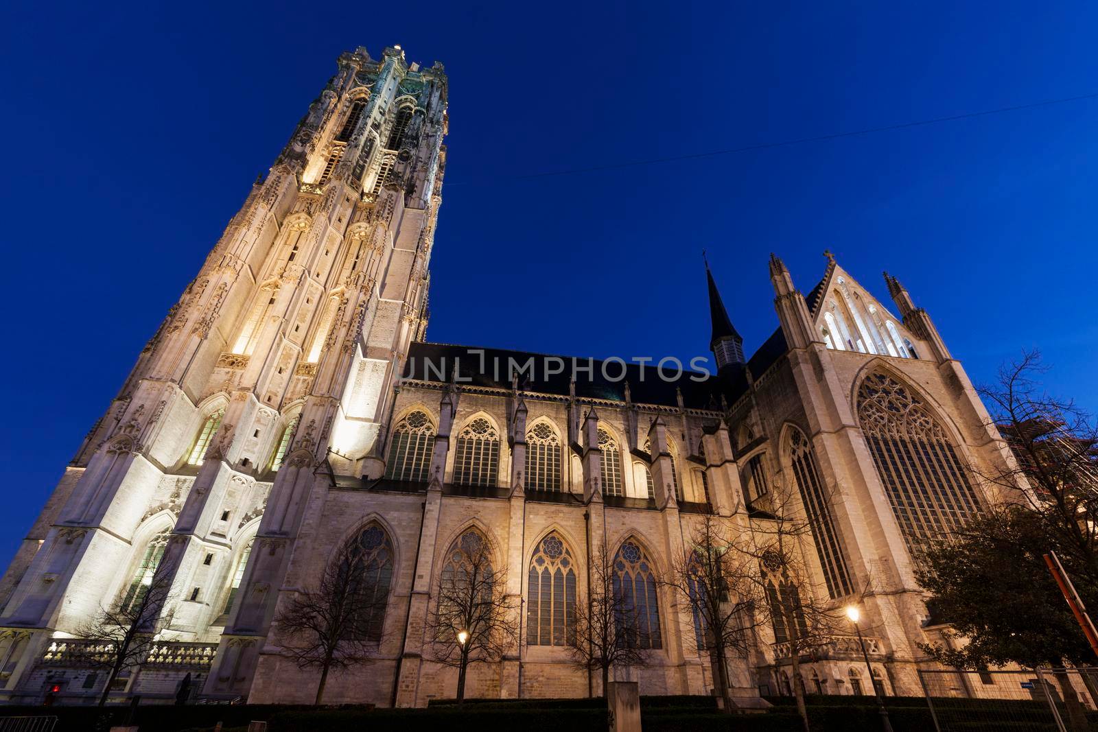 Saint Rumbold's Cathedral in Mechelen by benkrut