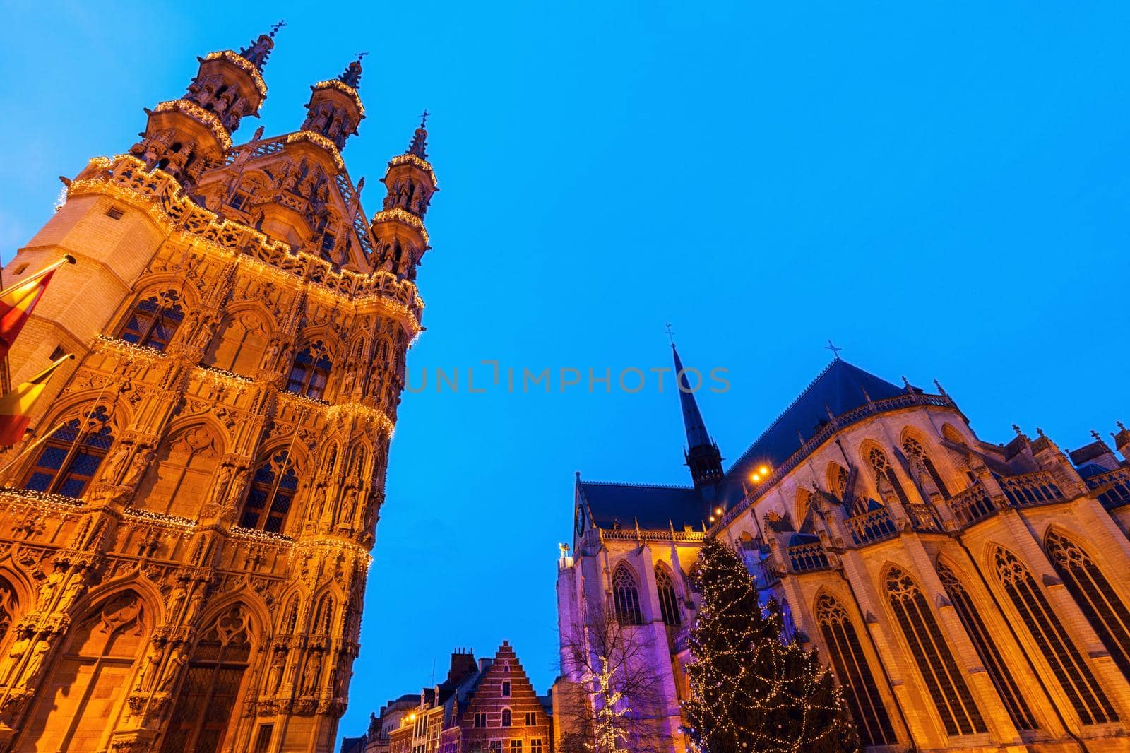 Leuven City Hall on Grote Markt by benkrut