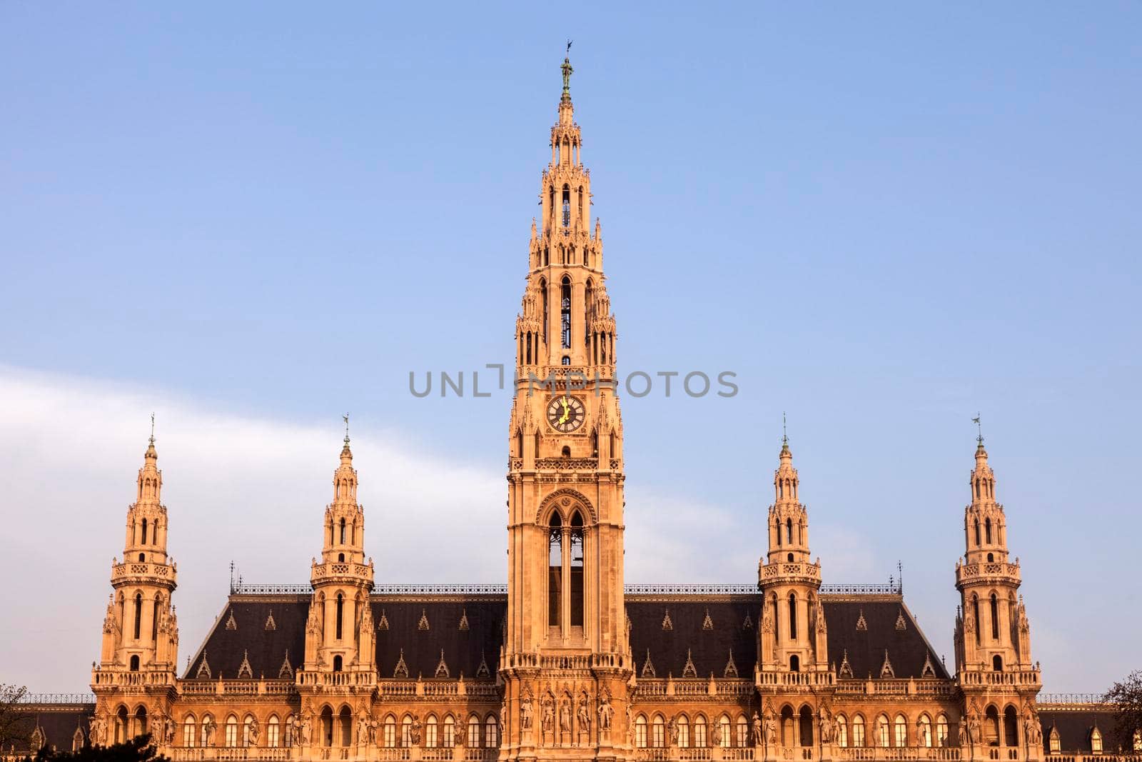 Vienna City Hall at sunrise. Vienna, Austria.