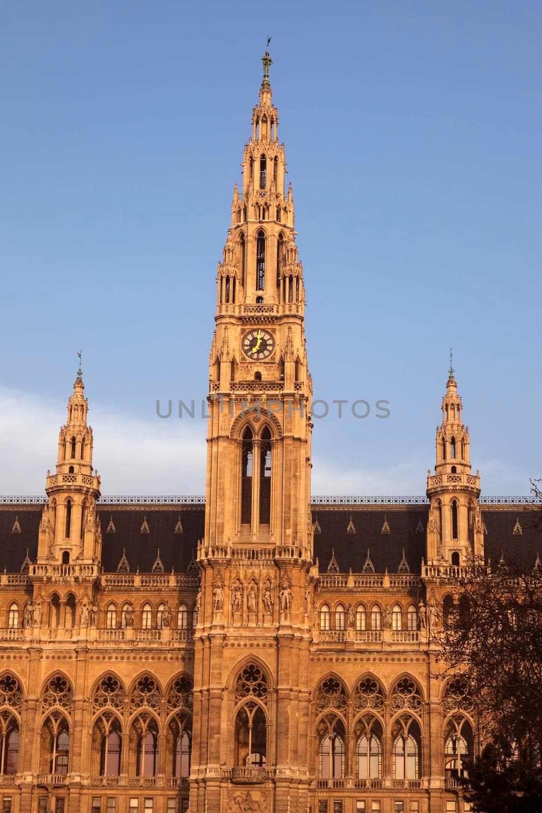 Vienna City Hall at sunrise. Vienna, Austria.