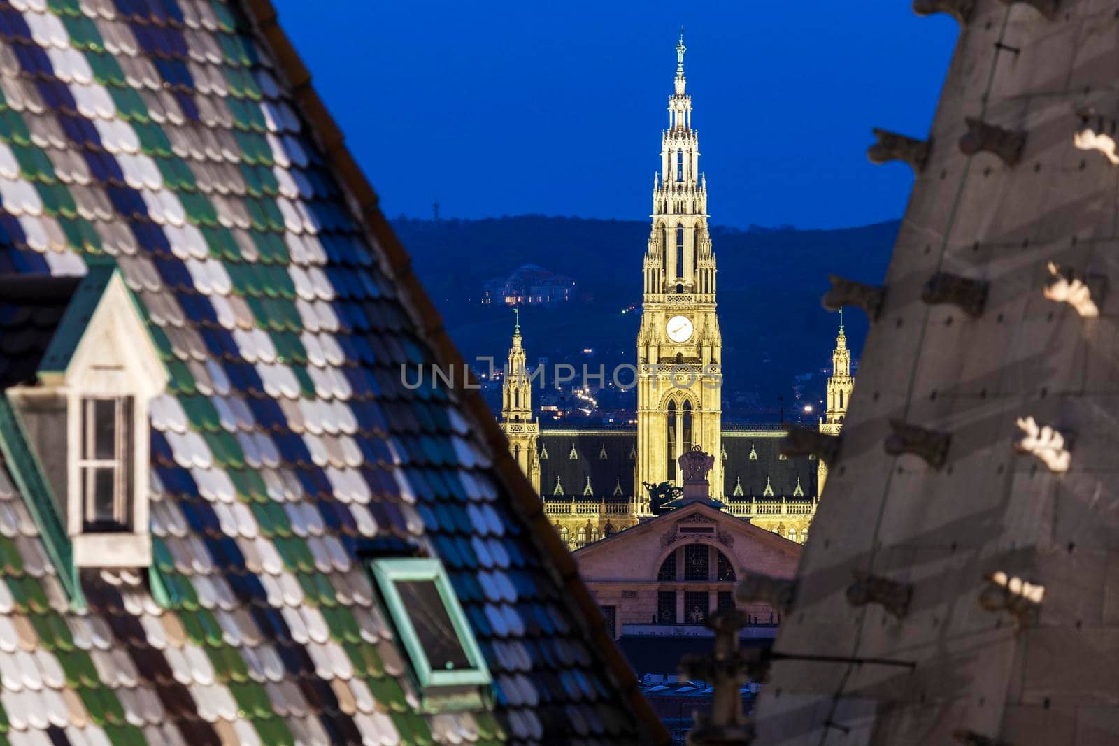 Vienna City Hall seen from St. Stephen's Cathedral by benkrut