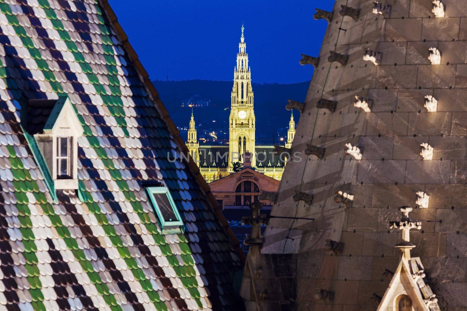 Vienna City Hall seen from St. Stephen's Cathedral by benkrut