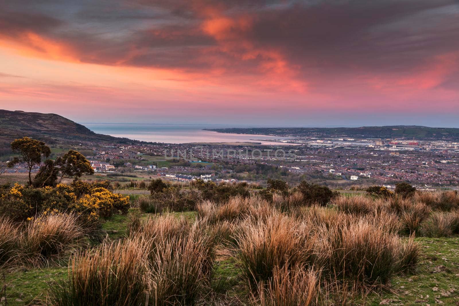 Aerial panorama of Belfast by benkrut